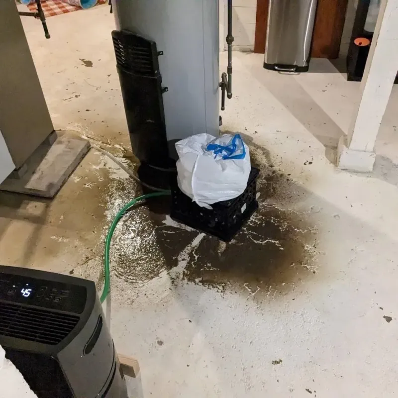 Sewage Backup Cleanup Service in Nora Springs, IA